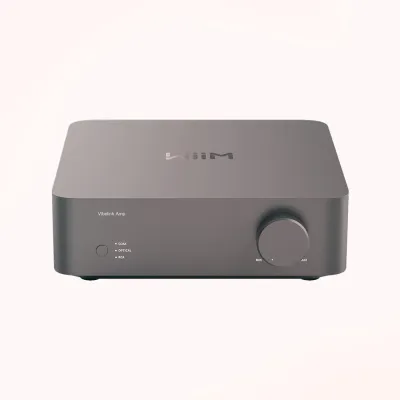 Endstufen WiiM WiiM Vibelink Amp Space Grey