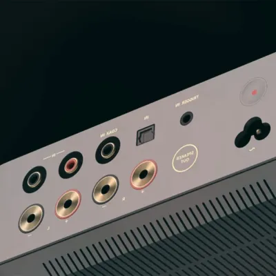 Endstufen WiiM WiiM Vibelink Amp Space Grey