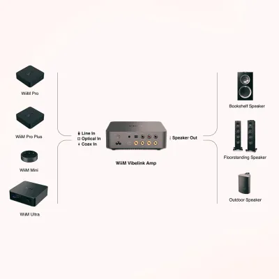 Endstufen WiiM WiiM Vibelink Amp Space Grey