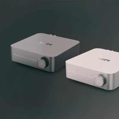 Integrierter Verstärker WiiM WiiM AMP Silver