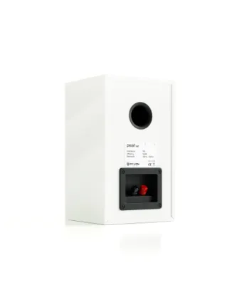 Regallautsprecher Pylon Audio Pearl Sat Black