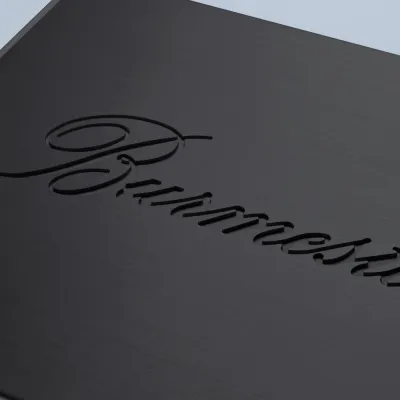 Streamer Burmester 111 Musiccenter Black