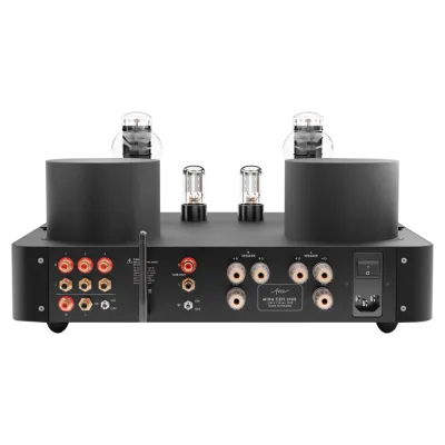 Endstufen Fezz Audio Mira Ceti 300B Mono Power Amplifiers Black Ice