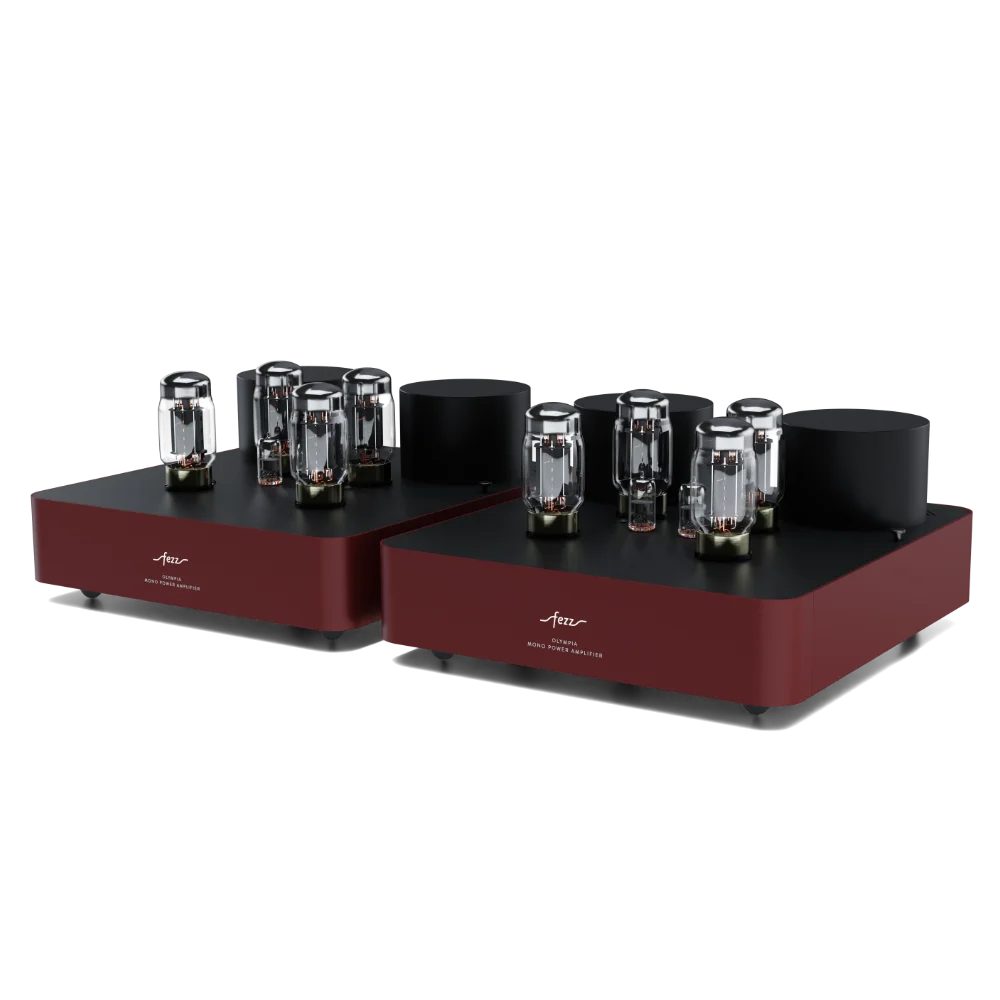 Endstufen Fezz Audio Olympia Mono Power Amplifiers Big Calm