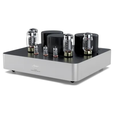 Endstufen Fezz Audio Titania Power Amplifier MK2 Republika