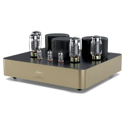 Endstufen Fezz Audio Titania Power Amplifier MK2 Republika