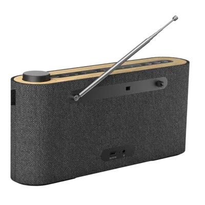 DAB+ player Loewe radio.frequency Basalt Grey & Pure Oak