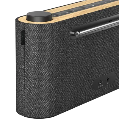 DAB+ player Loewe radio.frequency Basalt Grey & Pure Oak