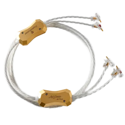 Reproduktorový kábel Crystal Cable Da Vinci Speak