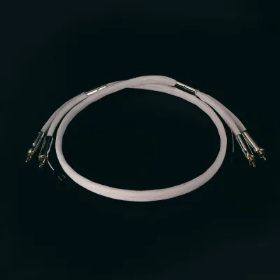 Analoge Kabel DS Audio PH-001