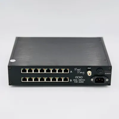 LAN Switch Paul Pang Audio Dual Switch Silver