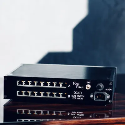 LAN Switch Paul Pang Audio Dual Switch Silver
