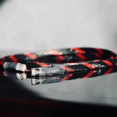 LAN Kabel Paul Pang Audio Carbon LAN cable
