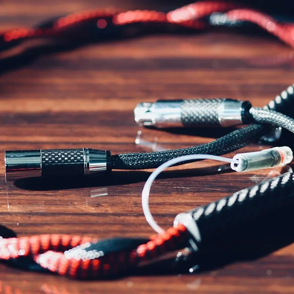 Digitale Kabel Paul Pang Audio Platinum M AES /EBU cable