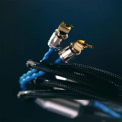 Lautsprecherkabel Siltech Classic Legend 380L