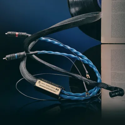 Plattenspielerkabel Siltech Royal Double Crown IC Phono