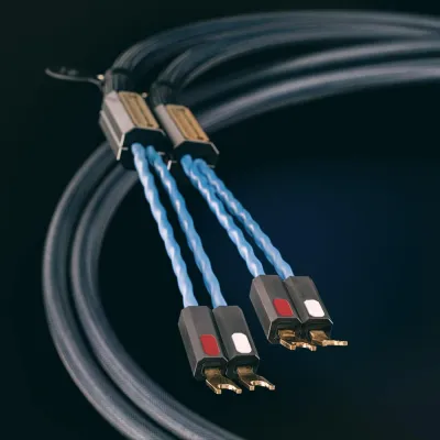 Lautsprecherkabel Siltech Royal Single Crown LS