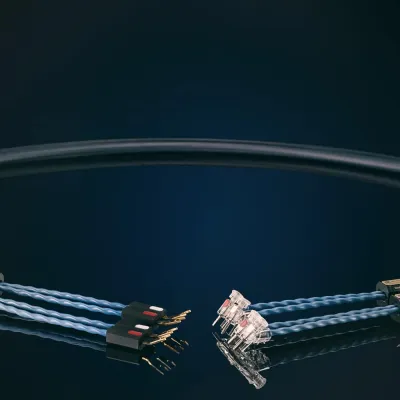 Lautsprecherkabel Siltech Royal Single Crown LS