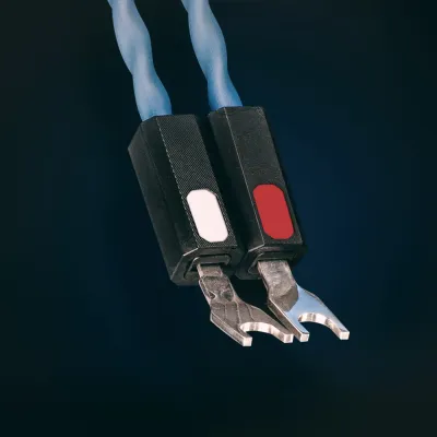 Lautsprecherkabel Siltech Royal Double Crown LS