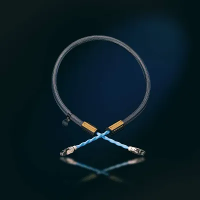 Digitale Kabel Siltech Royal Double Crown Network
