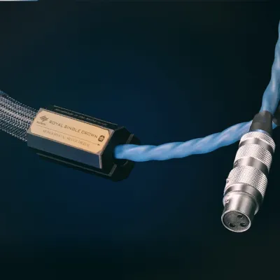 Digitale Kabel Siltech Royal Single Crown Digit 75 or 110