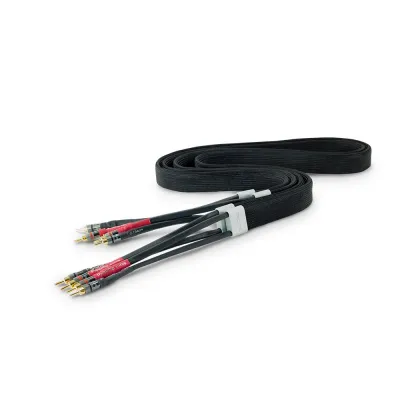 Lautsprecherkabel Tellurium Q Black Diamond Speaker