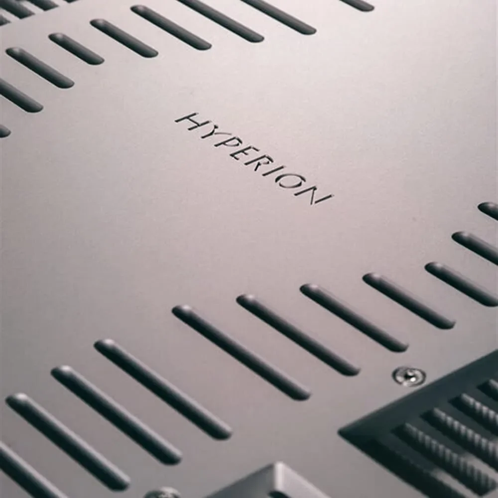 Endstufen Ypsilon Electronics HYPERION Silver