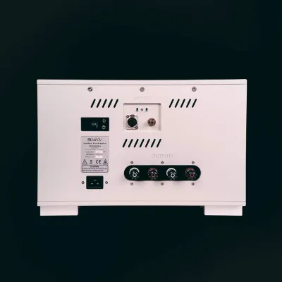 Endstufen Ypsilon Electronics HYPERION Silver