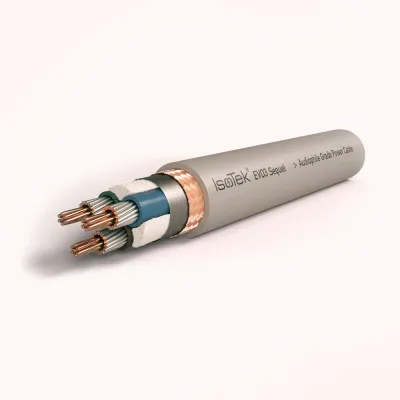 Netzkabel IsoTek EVO3 Sequel