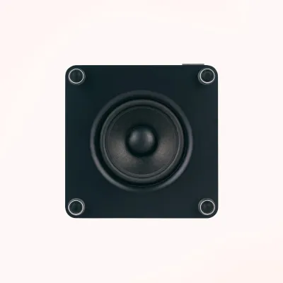 Subwoofer Ruark Audio RS1 Subwoofer Rich Walnut veneer