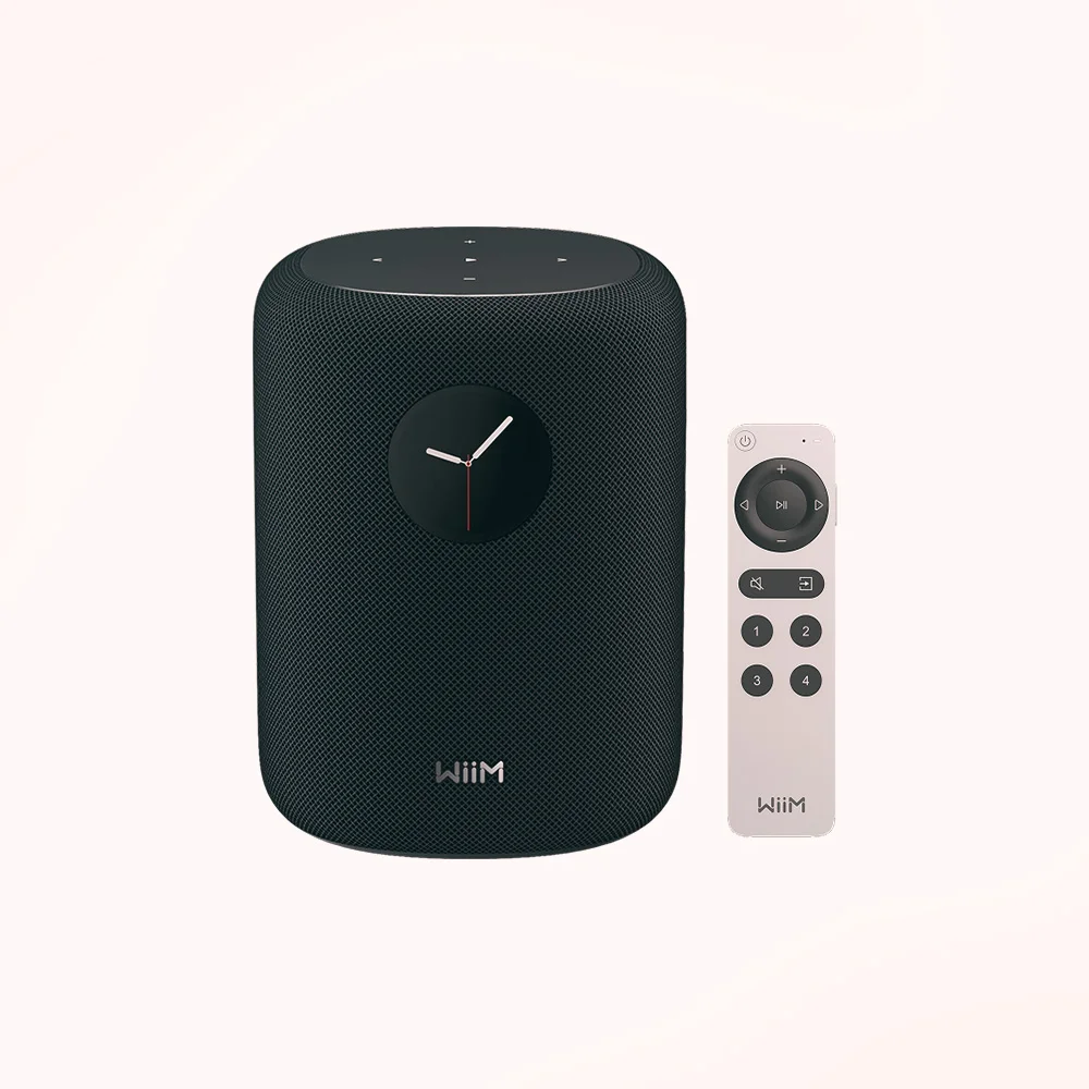 Portable BT player WiiM WiiM Sound Black