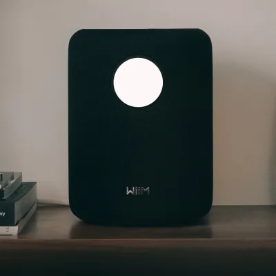 Portable BT player WiiM WiiM Sound Black