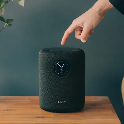 Portable BT player WiiM WiiM Sound Black