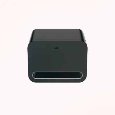 Portable BT player WiiM WiiM Sub Pro Black