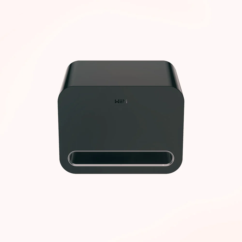 Portable BT player WiiM WiiM Sub Pro Black