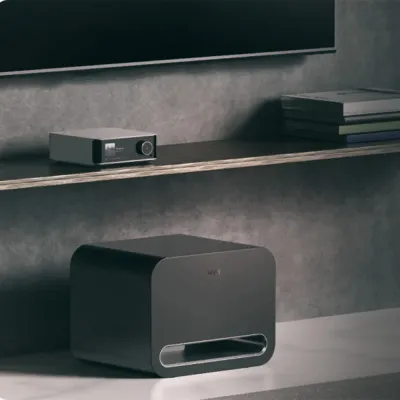 Portable BT player WiiM WiiM Sub Pro Black