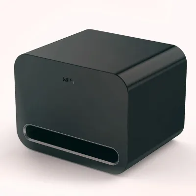 Portable BT player WiiM WiiM Sub Pro Black